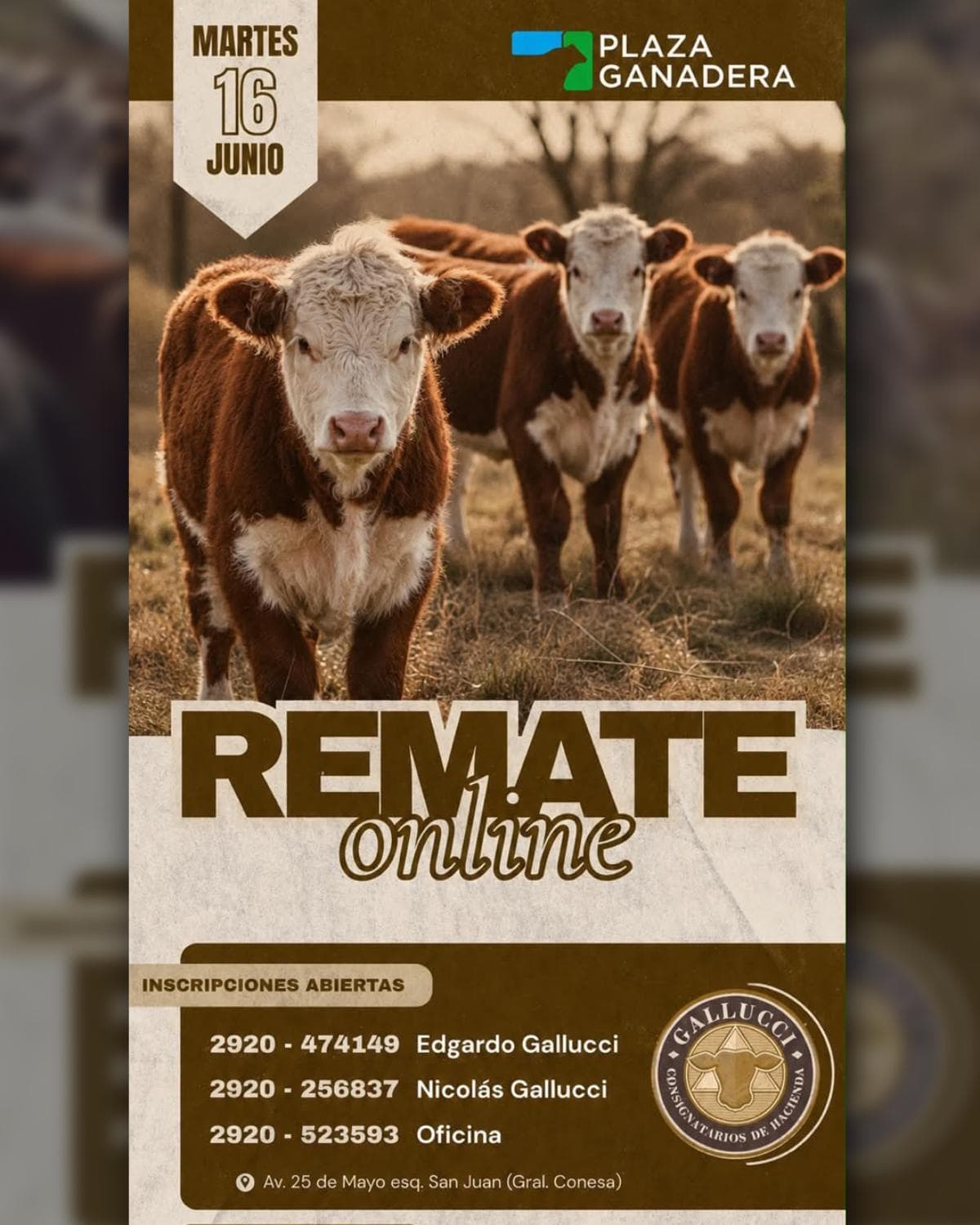 2º Remate por Internet