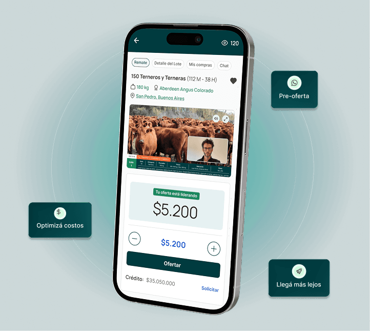 App de Círculo Ganadero mostrando la puja de un lote