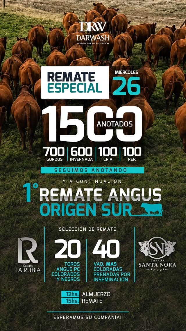 1° Remate Angus Origen Sur