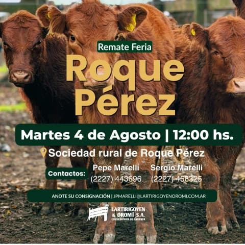 Remate Feria Soc. Rural de Roque Perez