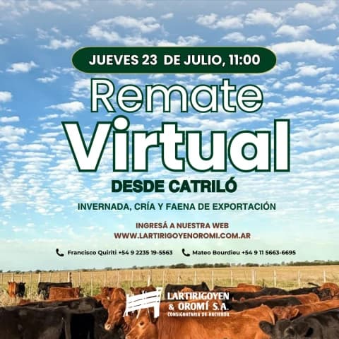 140° REMATE VIRTUAL - Invernada, Cria y Faena de Exportación - Desde Catriló
