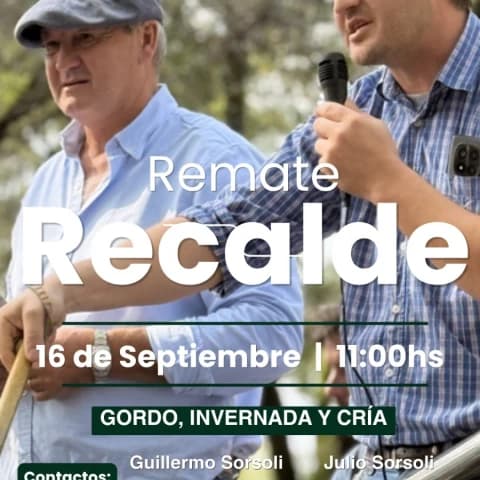 Remate Feria RECALDE - Gordo, Invernada y Cria