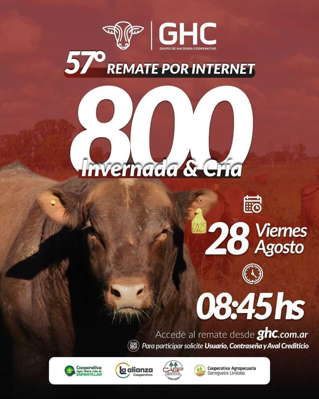 57º Remate por Internet - 8.45hs.