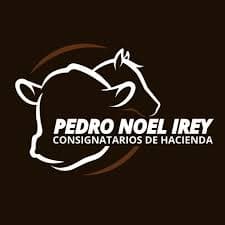 Pedro Noel Irey