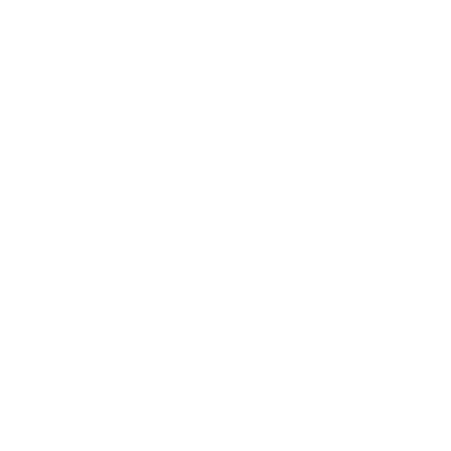 Carlos J. Lanser SA