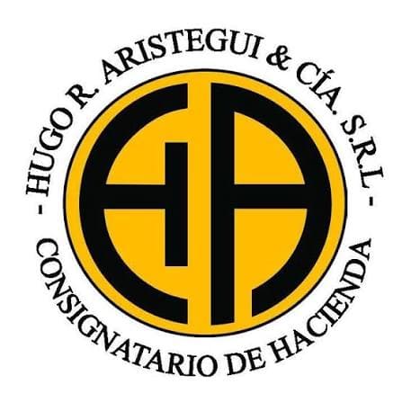 Hugo R. Arístegui y Cía